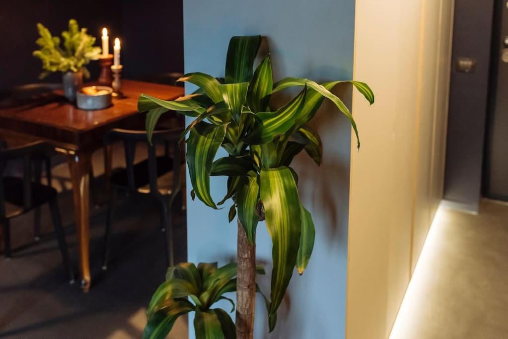 Luxury Downtown Apartment Bucureşti Ngoại thất bức ảnh